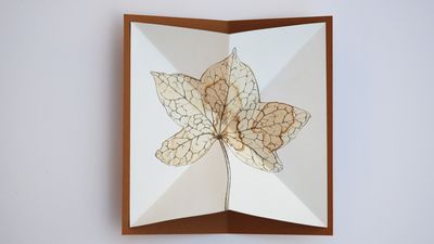 Credit: Odine Lang Ein in Brauntönen gezeichnetes Blatt eines Ahorns auf hellem Papier. Titel eines Künstlerbuches